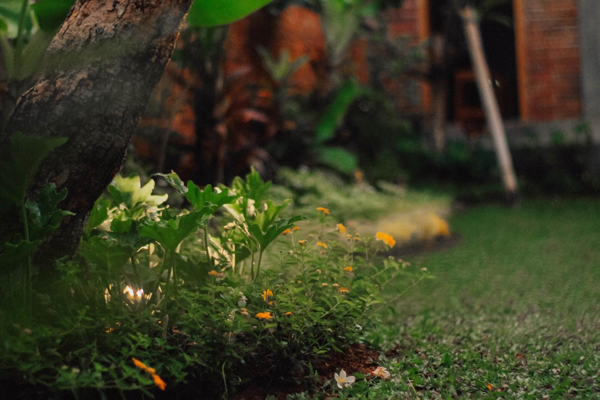 Govardan Home Stay Canggu Extérieur photo